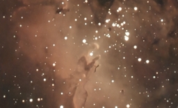 Second image