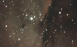 Second image